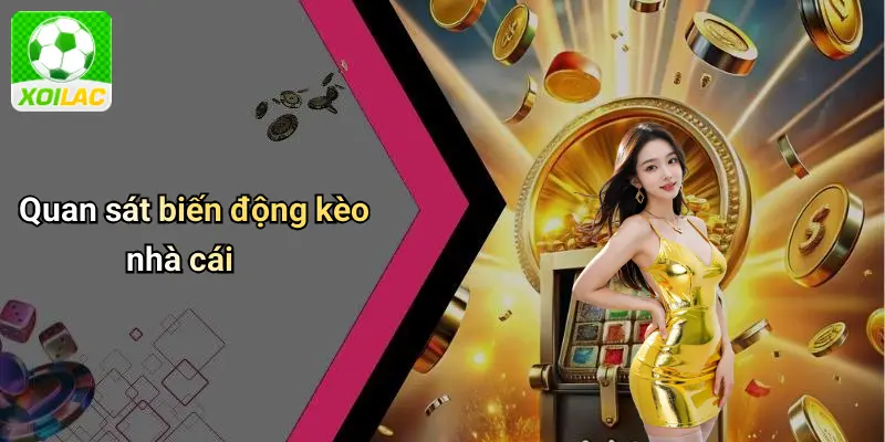 Quan sát biến động kèo nhà cái