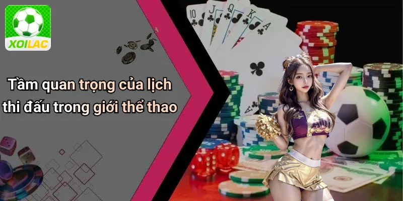 Tầm quan trọng của lịch thi đấu trong giới thể thao