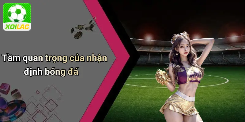 Tầm quan trọng của nhận định bóng đá