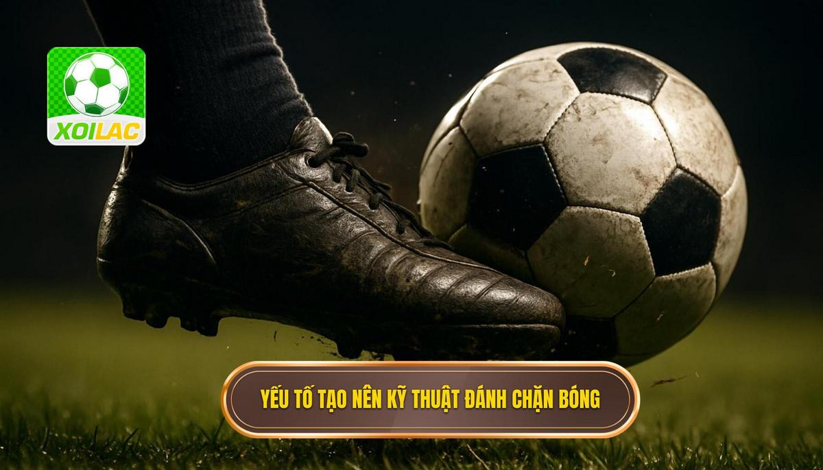 Các Yếu tố Cốt lõi Tạo nên Kỹ thuật Đánh Chặn Bóng Hiệu quả
