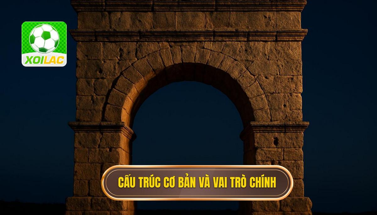 Cấu Trúc Cơ Bản và Vai Trò Tuyến Đầu