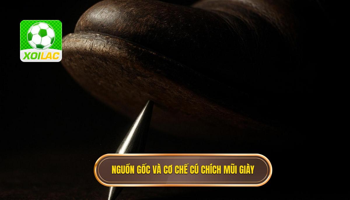 Nguồn gốc và Cơ chế Vật lý của Cú Chích Mũi Giày
