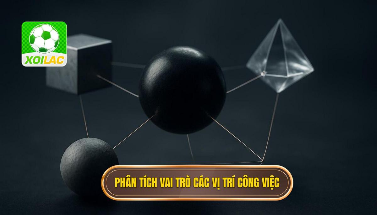 Phân tích chuyên sâu về vai trò các vị trí