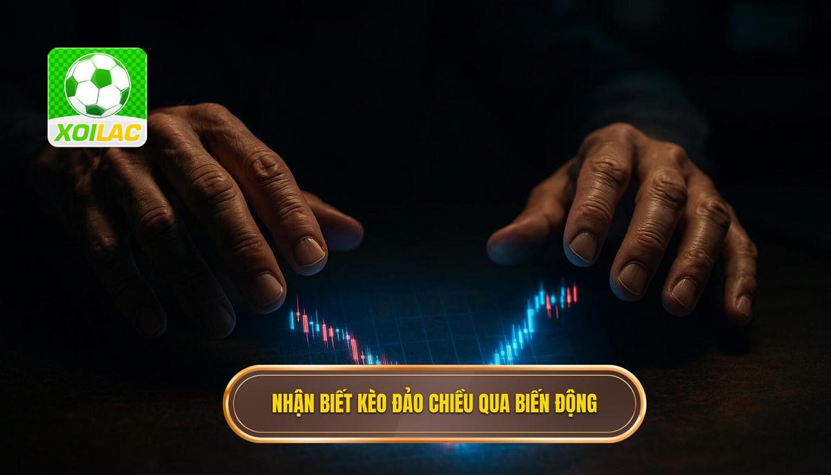 Dấu hiệu nhận biết kèo đảo chiều thông qua biến động tỷ lệ