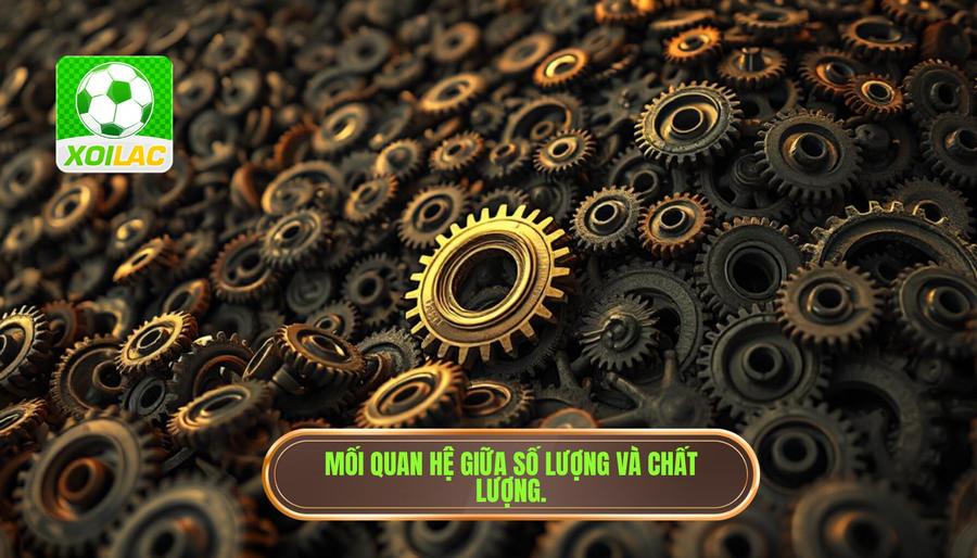 Chất lượng chuyên môn: Liệu số lượng có đi đôi với chất lượng?