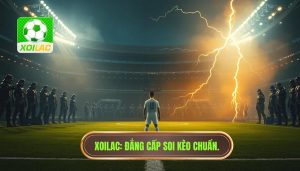 Đội cửa dưới có dễ tạo địa chấn không? Phân tích từ XOILAC
