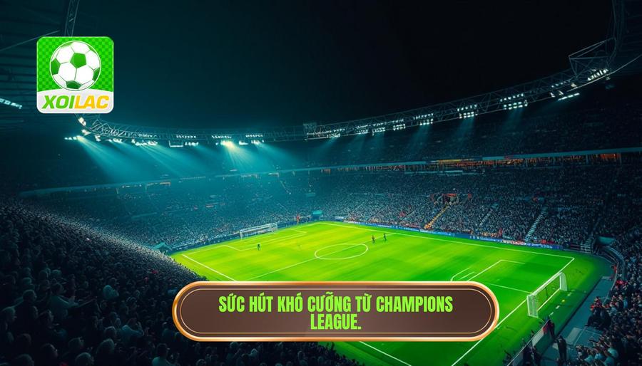 Tại sao Champions League luôn là tâm điểm của người hâm mộ? Tại sao Champions League luôn là tâm điểm của người hâm mộ?